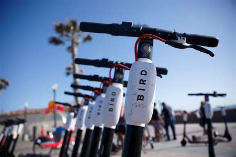 E-scooter operator Bird files for bankruptcy
